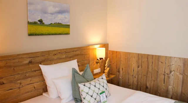 Одноместный номер Standard Hotel & Restaurant Zum Reussenstein