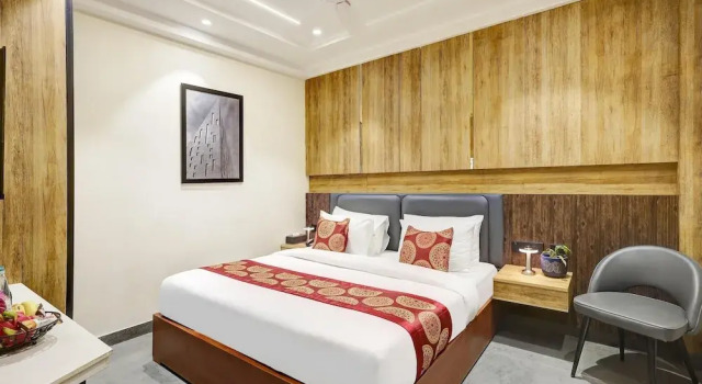 Номер Standard Hotel Tyche Inn- Luxury in Central Delhi, Near Connaught Place & New Delhi Station