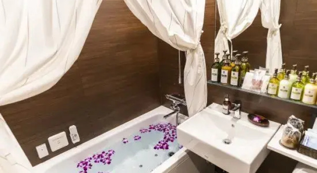 Одноместный номер Standard Hotel Petit Bali Garden Shin Okubo