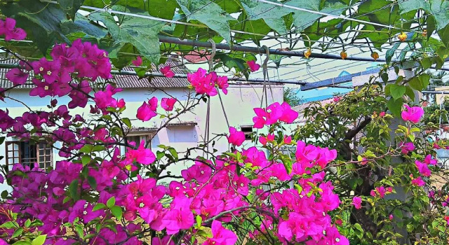 MS Tri House Homestay, Rezervovat Hotel Hotely v Quang Nam s parkováním, Parkování