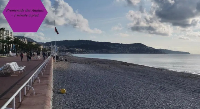 Апартаменты Studio - 1 minute de la plage et de la Promenade des Anglais