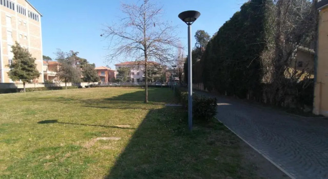Апартаменты c 1 комнатой Casa Alberoni