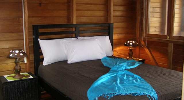 Номер Standard Hotel Luna Del Rio