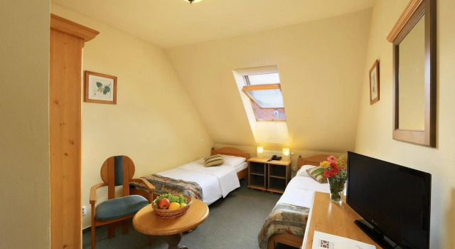 Hotel Panská