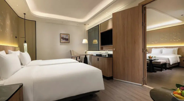 Номер Standard с видом на город HOTEL du LAC SIGNATURE