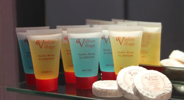 Двухместный номер Standard Vallian Village Hotel