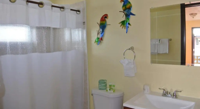Двухместный номер Standard Отель Creekside Inn