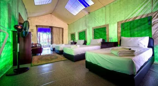 Orchard Wellness Safari Suites