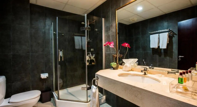 Номер Deluxe Mikhaels Hotel