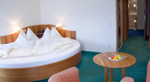 Двухместный номер Standard с видом на озеро Hotel Weisser Hirsch