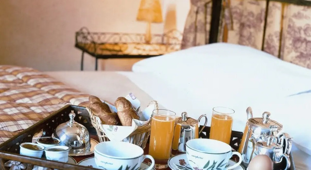 Двухместный номер Standard с видом на парк Hôtel Les Orangeries