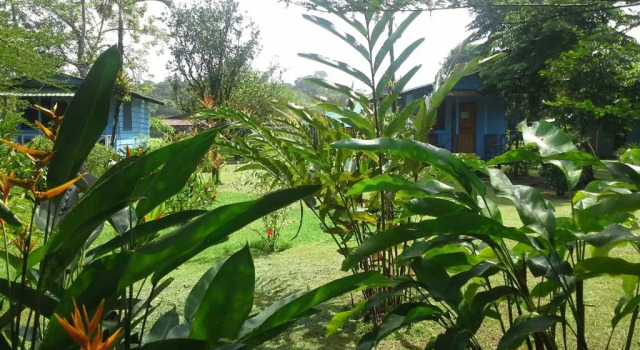 Номер Standard All Rankins Eco-Lodge