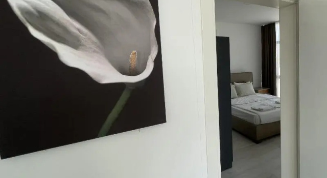 Люкс Classic Alya Rooms