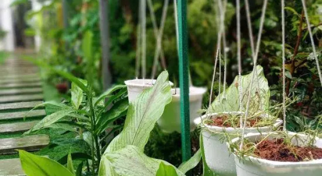 Homestay Golf & Coffee - Bi Phu Quoc