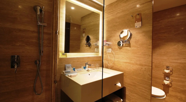 Шестиместный номер Deluxe с балконом Novotel Goa Candolim