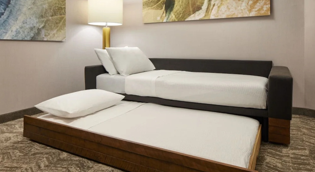 Двухместный люкс с видом на улицу SpringHill Suites by Marriott Frederica