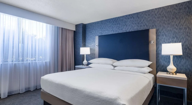 Двухместный люкс для гостей с ограниченными возможностями Embassy Suites Baltimore - North/Hunt Valley