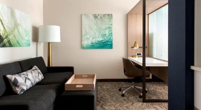 Люкс SpringHill Suites by Marriott Tampa Suncoast Parkway
