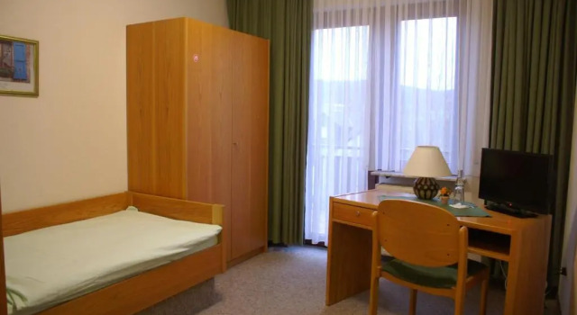 Одноместный номер Standard с балконом и с красивым видом из окна Landhotel & Gasthaus Altenburg