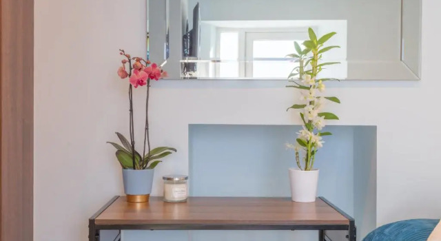 Standard- dobbelt værelse Ocean Stays Hotel