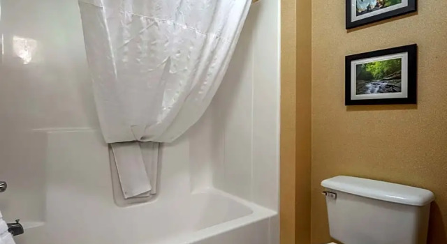 Двухместный люкс Comfort Inn Meadowlands