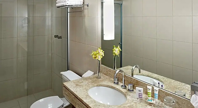 Апартаменты Standard Mercure Sao Paulo Paulista