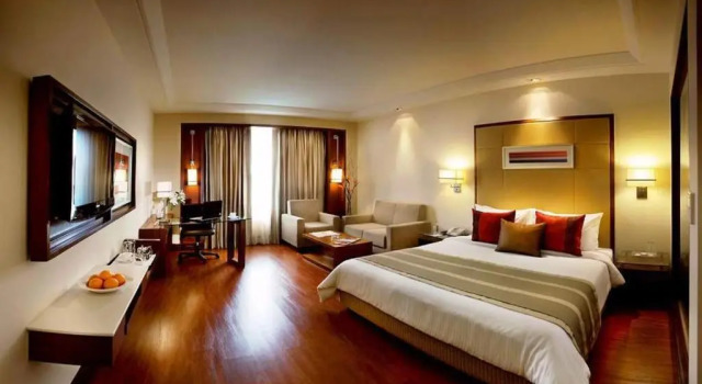 Двухместный номер Deluxe Park Inn Gurgaon