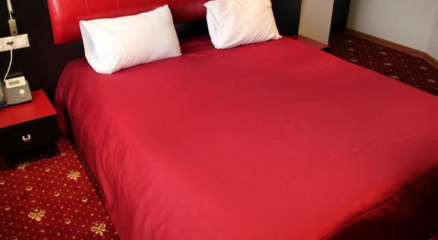 Hotel Villa Palace, Rezerwuj Willa Bakuriani Samckhe Javakheti