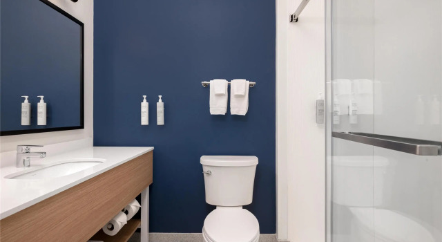 Четырёхместный номер Standard Spark by Hilton Douglasville Atlanta West