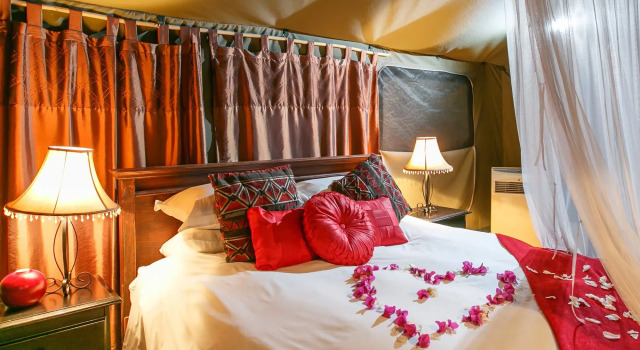 Chandelier Game Lodge, 预订 酒店 奥次颂 Klein Karoo