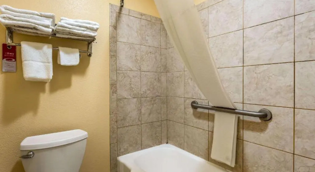 Номер Standard Econo Lodge Inn & Suites Santa Rosa