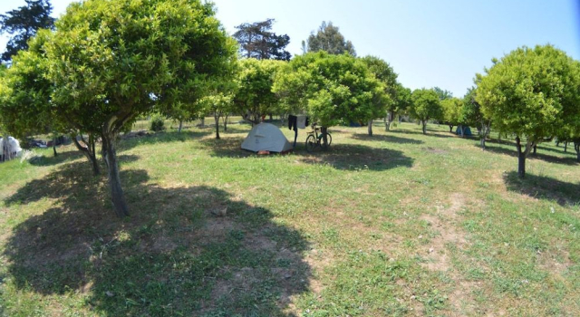 Bodrum Ecofarm Camp Hostel, Rezervovat Hostel Hotely v Mugla se snídaní, Snídaně