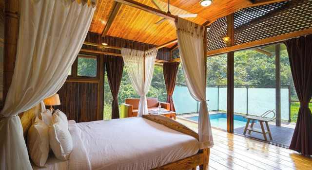 Номер Premium The Arboreal Resort
