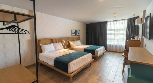 Четырёхместный номер Executive Oliva Plaza Hotel