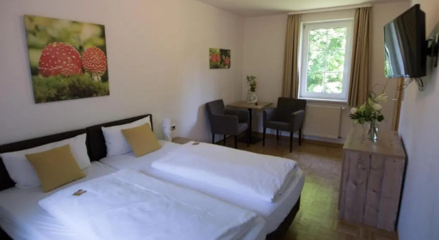 Люкс Deluxe BSW-Erlebnishotel Festenburg