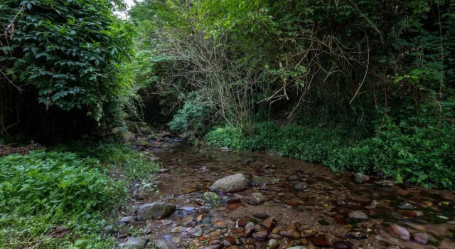 Вилла Rio delle Fate, a Fairytale Home along the Stream in Vorno, Lucca