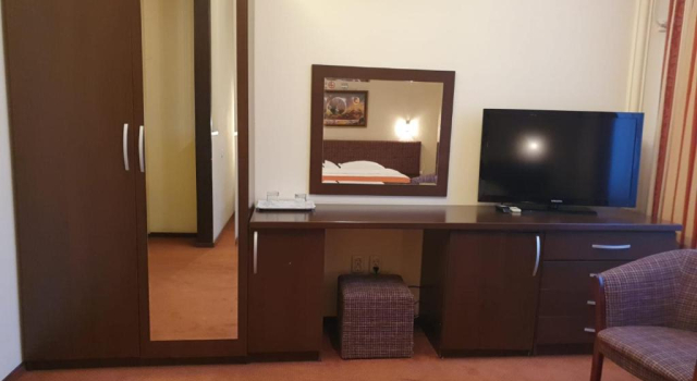 Номер Standard Pensiunea Floarea Soarelui