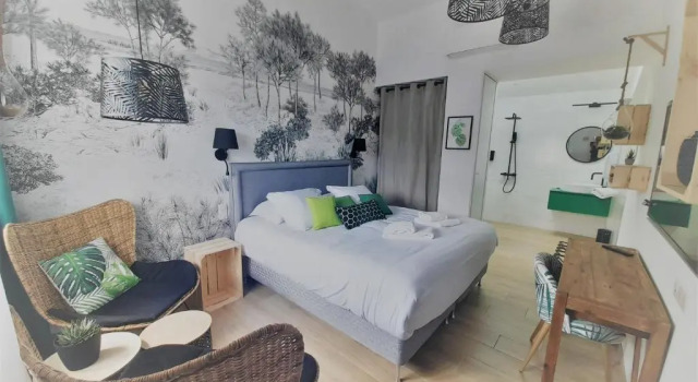 Номер Standard Logis Hôtel La Chaize