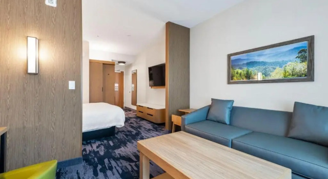 Люкс Fairfield by Marriott Inn & Suites San Francisco Airport Oyster Point Area