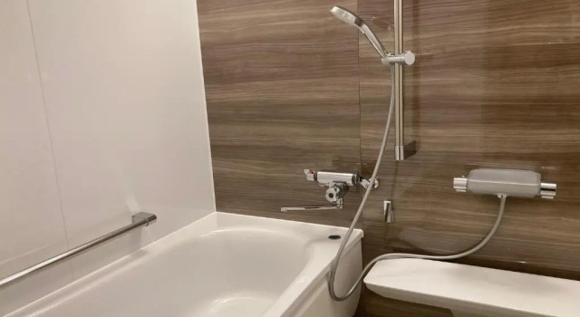 Люкс с видом на горы Hotel Park