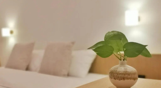Номер Deluxe Hotel AONO