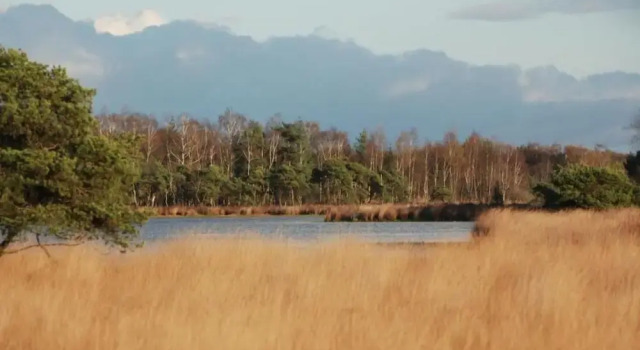 Шале Peaceful Stay Near Trails