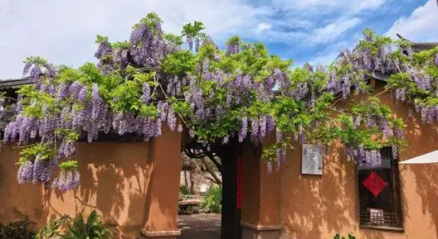 Wuqi Holiday Guesthouse (Ancient Stage Branch), Shaxi, Dali, Prenota Hotel Hotel a Shaxi con parcheggio, Parcheggio