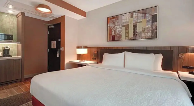 Одноместный номер Deluxe Hilton Garden Inn Kalamazoo Downtown