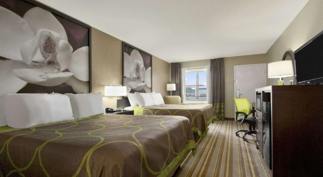 Четырёхместный номер Standard Super 8 by Wyndham Tupelo Airport