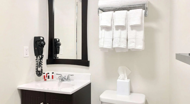 Четырёхместный номер Standard Quality Inn & Conference Centre Kingston Central