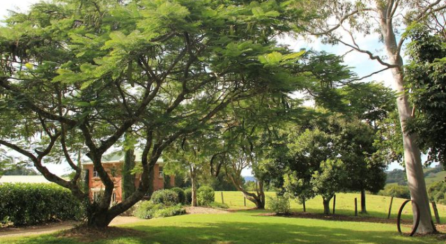 Seasons of Maleny B&B, Buchen Sie Bed & Breakfast Maleny 