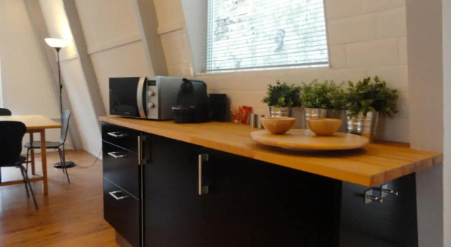 Апартаменты c 1 комнатой Frankendael Apartments