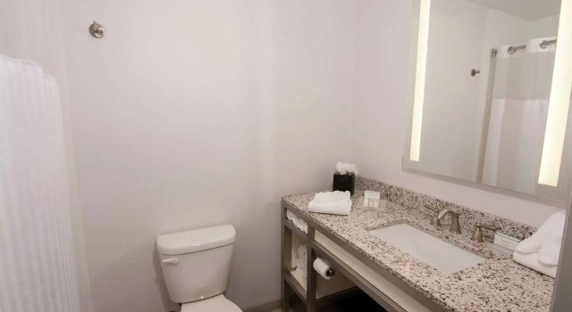 Номер Standard Hilton Garden Inn Tampa Suncoast Parkway