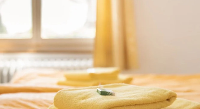 Двухместный номер Standard Hotel Rotes Kreuz